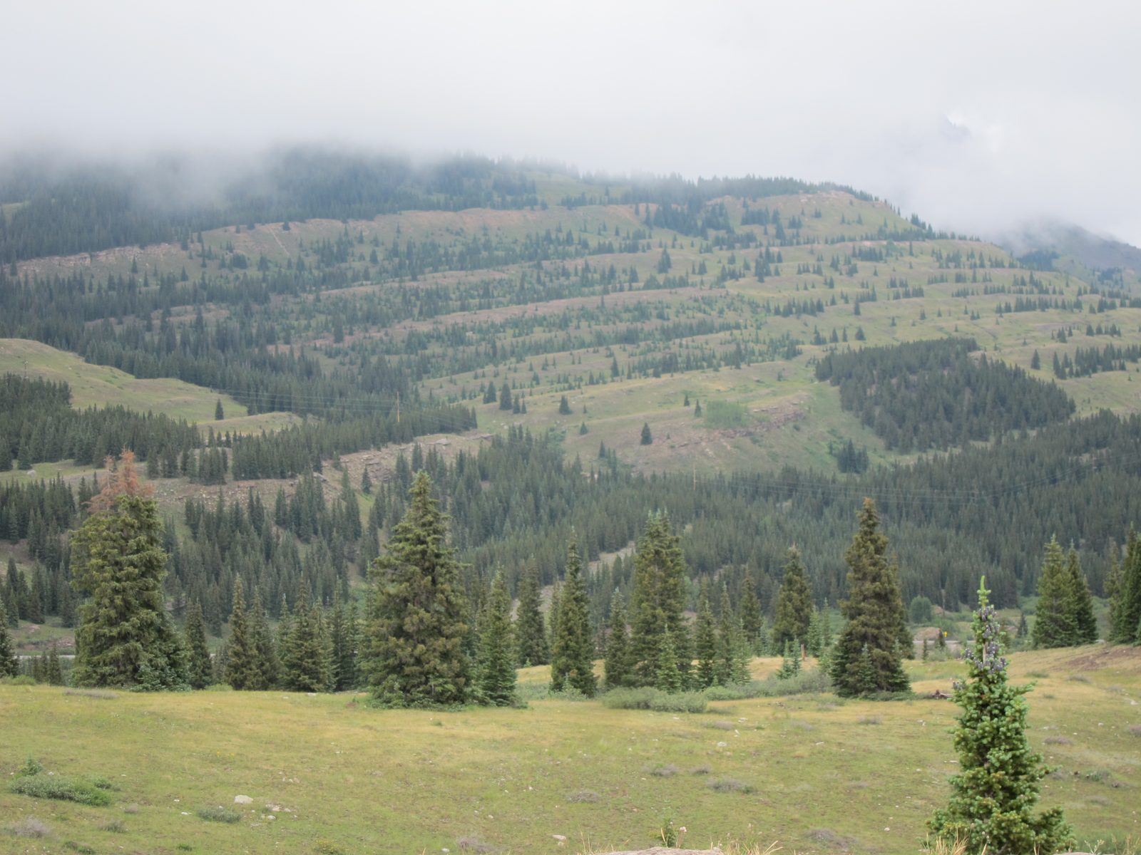 We understand there were some towering peaks above this terraced area.